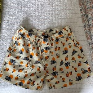 Men’s North Face shorts